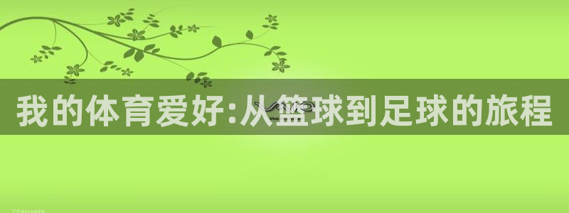 vsport体育官网下载官方客服电话:我的体育爱好:从篮球到