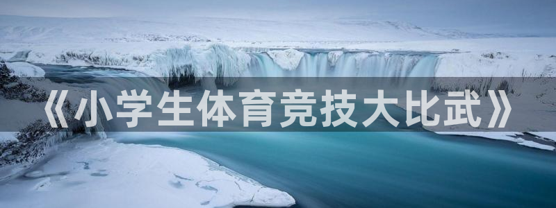 vsport体育官网下载招商电话地址:《小学生体育竞技大比武