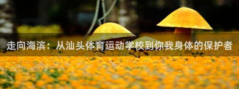 vsport体育官方正版app科技:走向海滨:从汕头体育运动